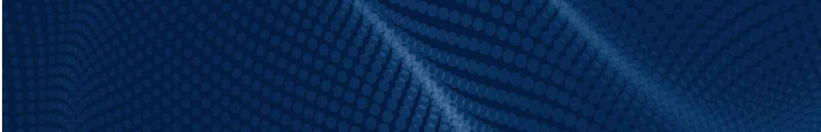 Trusted Partners — AdamIS Tech